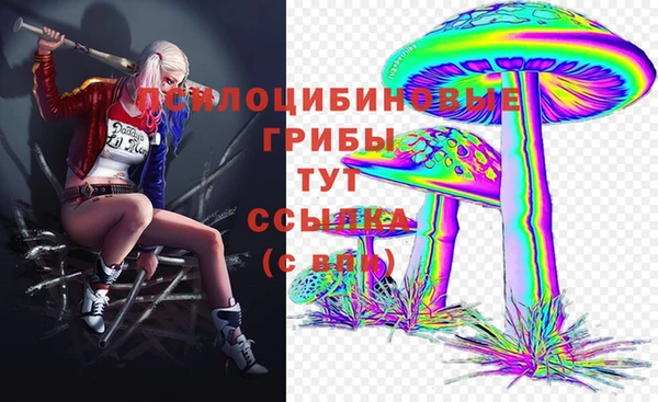 spice Арсеньев
