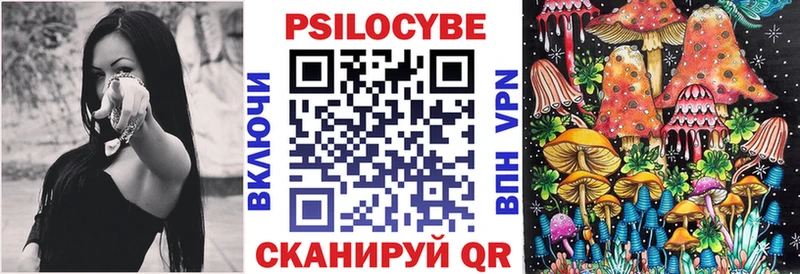 Псилоцибиновые грибы прущие грибы  Приморск 